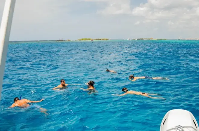 Snorkeling a Nos Isla Aruba con barca privata e paddleboard