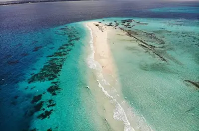 Nakupenda Sandbank: Snorkel y almuerzo de mariscos en bote privado