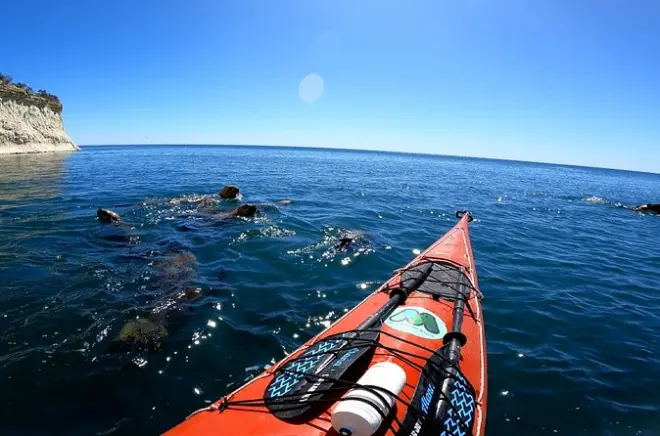 Caiaque em Puerto Madryn: Leões-marinhos e aves marinhas