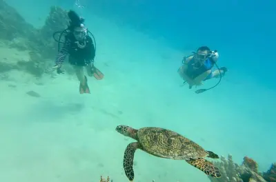 Immersioni ad Apra Harbor, Guam senza bisogno di certificazione