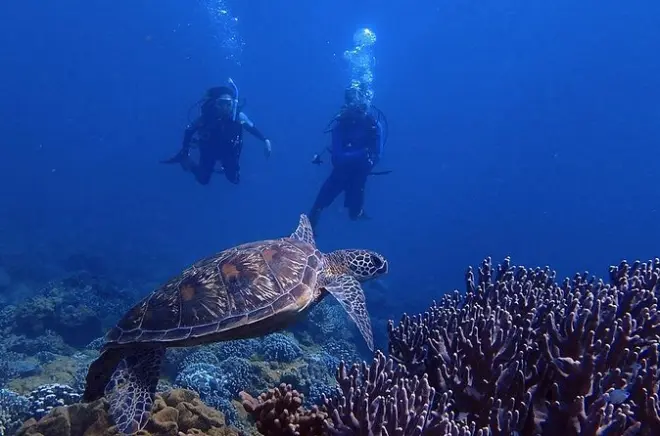 Buceo en Guam: Inmersiones para todos en Dogleg Reef