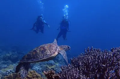 Immersioni a Guam per principianti e esperti a Dogleg Reef