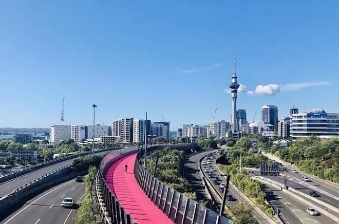 Motorista particular em Auckland com roteiro personalizado do dia