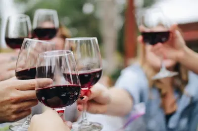 Langhe Vineyards from Turin: 8-Hour Private Transfer in Van