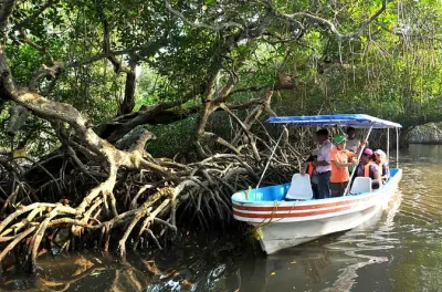 Passeio de barco pela lagoa de mangue Mandinga e ilhas