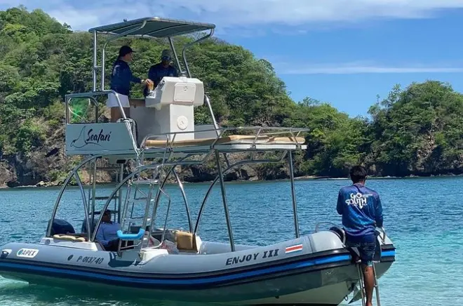 Schnorcheln in Playa Flamingo: Privates Boot, in Ihrem Tempo