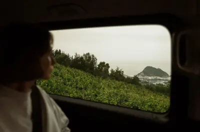 Txakoli a Getaria e Zumaia con pranzo tra i vigneti inclusi