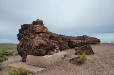 De Sedona al Bosque Petrificado con guía privado y almuerzo