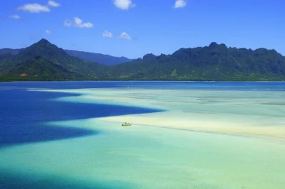 Float above kaneohe bay’s sandbar, try snorkeling at the turtle reef, paddle board or just snack on spam musubi. includes gear, drinks & local crew guidance.