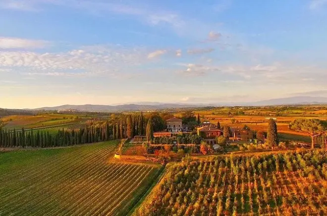 Valdichiana Wine Tasting: Three Tuscan Wines with a Sommelier