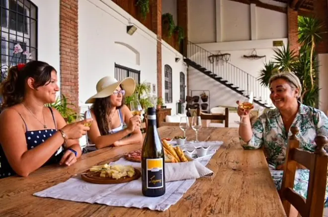 Weinverkostung in Sirmione mit Weinbergführung und regionalem Essen