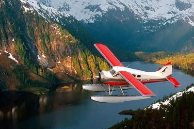 Descubra a beleza selvagem do alasca em um voo de hidroavião pelos misty fjords saindo de ketchikan, com pouso em lago e tempo para explorar em silêncio. traslado incluso.