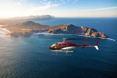 Découvrez cape point en hélicoptère depuis cape town, avec commentaires en direct, verre de vin pétillant offert et transfert retour au v&a waterfront inclus.