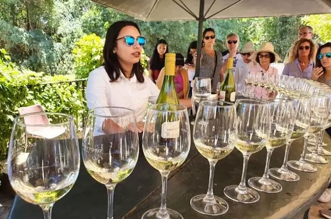 Concha y Toro Winery Tour: Vineyard, Cellar & Tasting