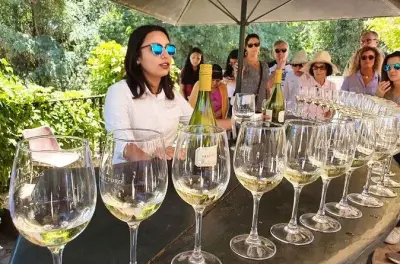 Concha y Toro Weingut: Weinberg, Keller & Verkostung