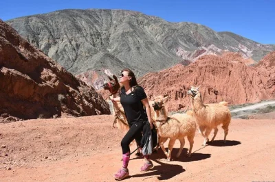 Feel the calm of purmamarca as you walk with llamas, chat with locals, and learn about native plants. includes private guide, flexible routes, and friendly llamas.