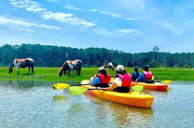Kayaking Assateague Island: Wild Ponies & Lighthouse Views