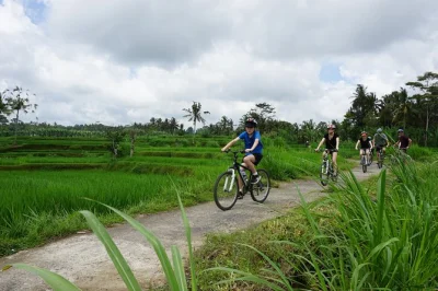 Inizia con un caffè a kintamani, poi pedala tra villaggi, risaie e templi antichi di bali. include pick-up, guida in inglese e pranzo tradizionale.