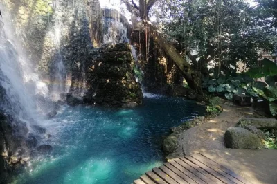 Descubre chiang mai con una excursión a blue temple, los jardines florales de dantewada y la única cascada pegajosa de bua tong, con almuerzo y entradas incluidas.