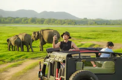 Wildtierbeobachtung im Minneriya Nationalpark zum Sonnenuntergang