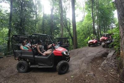 Découvrez jaco en buggy : traversez rizières, observez oiseaux sauvages, plongez sous les cascades et admirez le pacifique. guide, casque et carburant inclus.