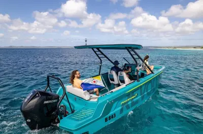 Snorkeling a Bonaire: Barca privata e barriere coralline
