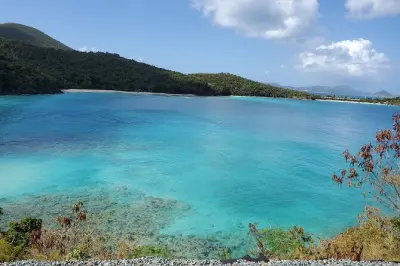 Tour privado de playas en St John: Safari y playas a tu ritmo