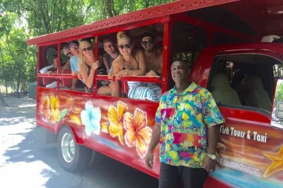 Swim at trunk bay, explore annaberg sugar plantation, and get coral bay views on a private st. john tour with local guide, drinks, and hotel pickup included.