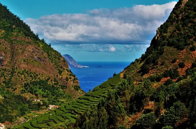 Tour en vehículo todo terreno por viñedos del norte y sur de Madeira