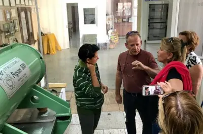 Expérience et dégustation d’huile d’olive à Salento