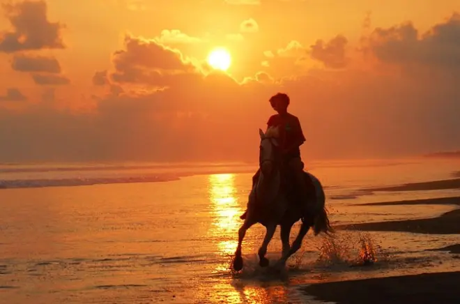 Horseback Riding in Jaco: Sunset Beach Ride with Local Guide