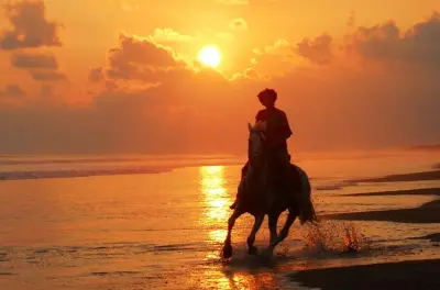 Équitation à Jaco : Balade au coucher du soleil avec guide local