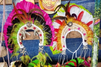 Erlebe den amazonas bei manaus – beobachte wilde flussdelfine, staune am zusammenfluss der flüsse und genieße ein mittagessen im indigenen dorf. inklusive hoteltransfer.