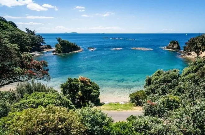 Visite privée des vignobles de l’île Waiheke avec 12 dégustations