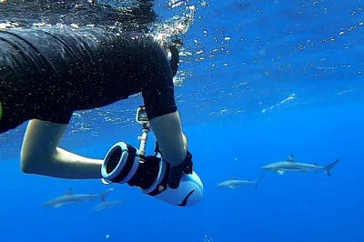 Explora los arrecifes de tahiti con un sea scooter, avista tortugas y mantarrayas, y descubre naufragios con guía local. grupo pequeño, incluye snacks, fotos y todo el equipo de snorkel.