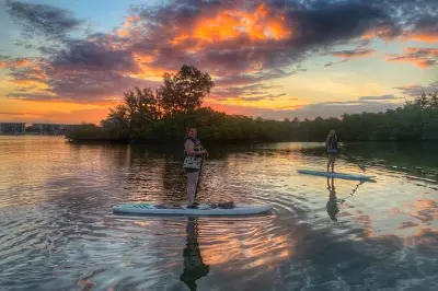 Sunrise Paddle Boarding in Jupiter: Mangrove Eco Tour with Guide