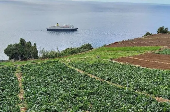 Agricultura em Funchal: Fazenda de banana, rum e campo rural
