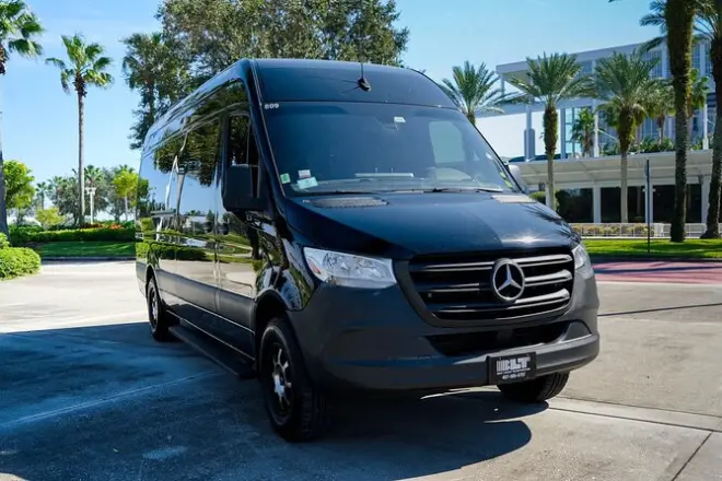 Private 14-Passenger Van: Orlando to Port Canaveral
