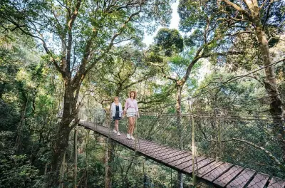Lamington National Park Rainforest Tour from Surfers Paradise