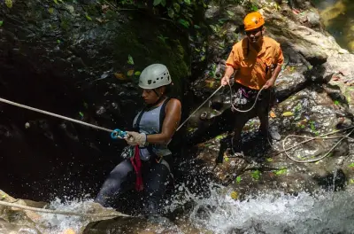 Zipline em Limón: Canopy, rapel e balanço Tarzan