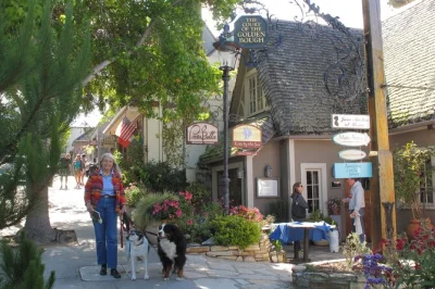 Descubre carmel-by-the-sea con un paseo guiado por sus patios encantadores, cabañas de cuento y jardines secretos, mientras escuchas historias locales y conoces artistas.
