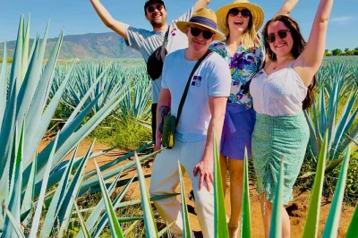 Explore os vales de agave, conheça as pirâmides de guachimontones e prove tequila artesanal com guia local. inclui transporte, entradas e degustação.