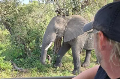 Safari di un giorno al parco Kruger da Maputo: Veicolo scoperto