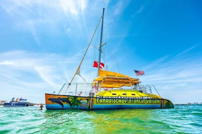 Watch wild dolphins, snorkel at shell island, and relax with a drink on a catamaran in panama city beach. includes snorkeling gear, local crew, and one complimentary beverage.