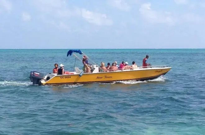Schnorcheln in Caye Caulker: 5 Stationen am Barrier Reef