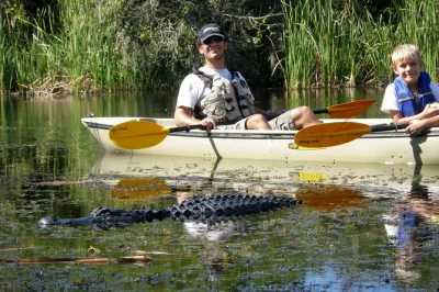 Erlebe floridas mangroven auf einer geführten kayak-ecotour. entdecke tiere, lerne von einem lokalen naturführer und gleite leise durch die everglades – ausrüstung inklusive.