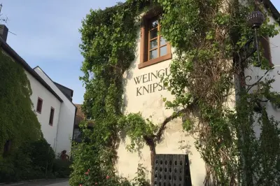 Pfalz Weinprobe ab Heidelberg: 30+ Weine, Mittagessen inklusive