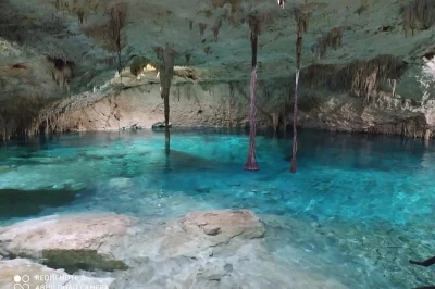 Nagez dans les cenotes souterrains et ouverts de tulum avec un guide local, déjeuner inclus. découvrez rivières cachées, mangroves et poissons colorés, avec prise en charge facile.