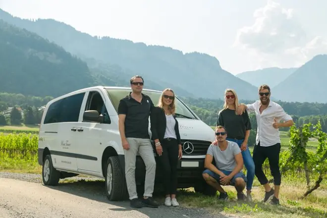 3-Hour Wine Tour in Swiss Alps: Private Tasting & Vineyard