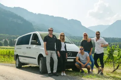 3-Hour Wine Tour in Swiss Alps: Private Tasting & Vineyard